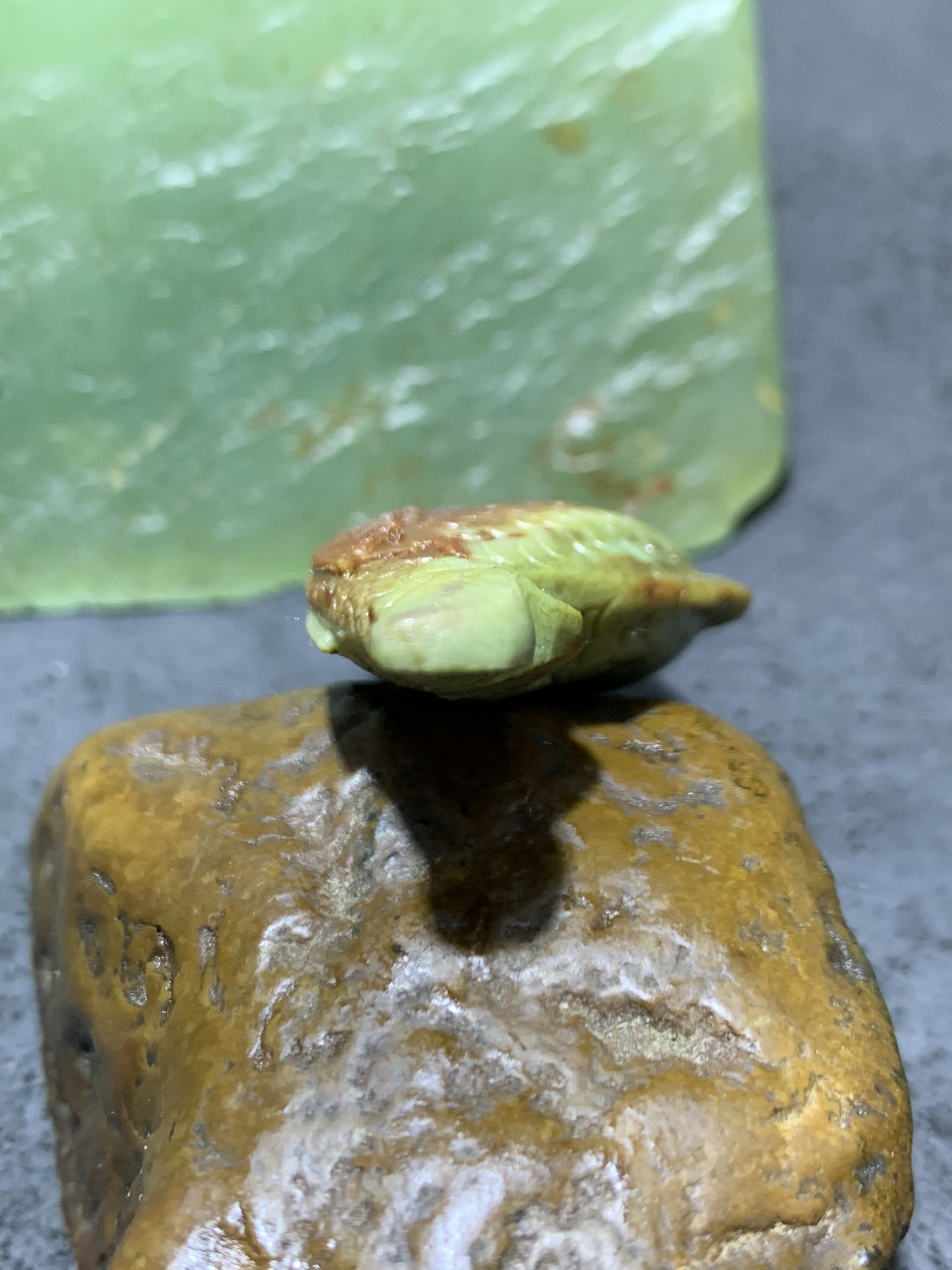 精美戈壁彩玉手工雕刻富贵有余把件（吊坠)一个！寓意：富贵有余，
