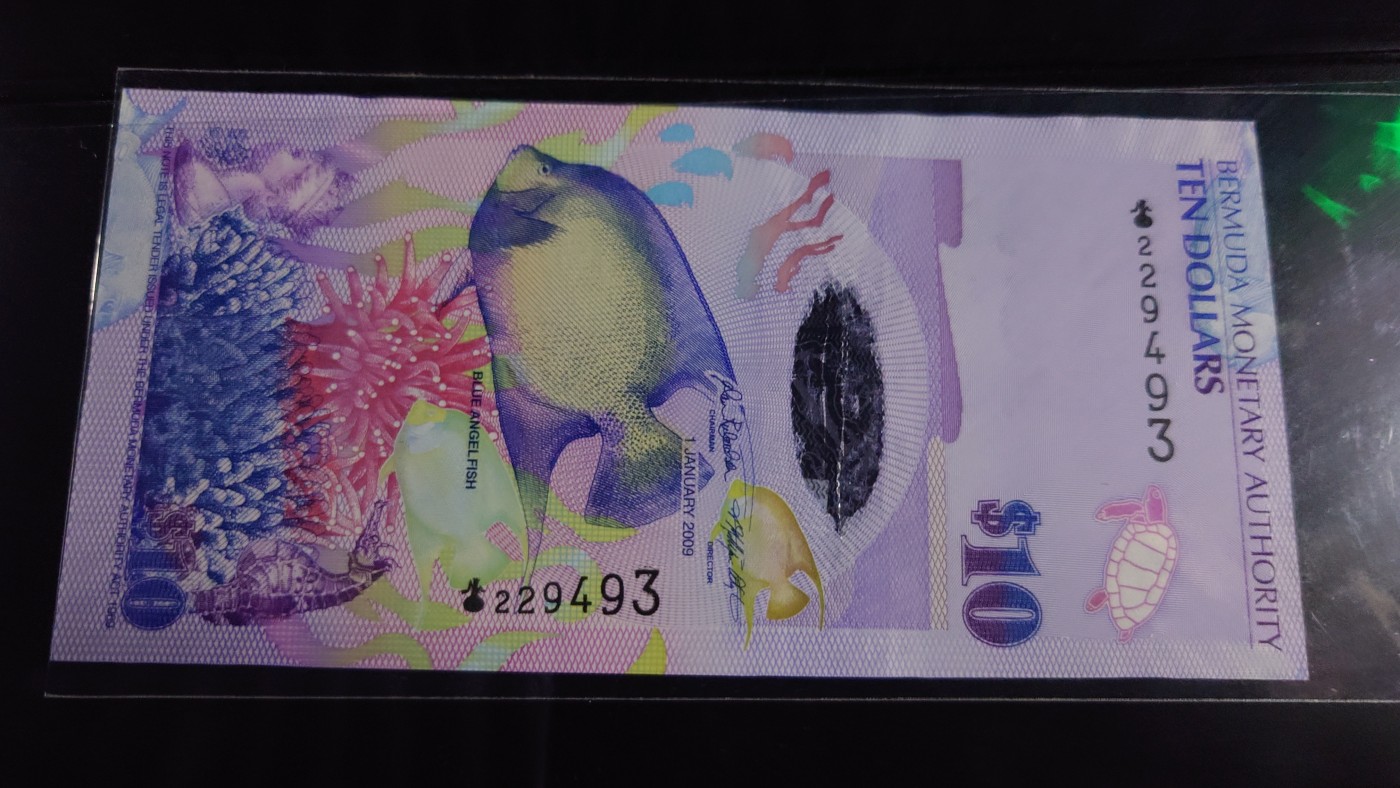 陆续更新【世界钱币】精选微拍第73期暨2023年第二十期 全新纸质裸钞低价起拍(第二场) 2009年百慕大10元洋葱冠 全新绝品