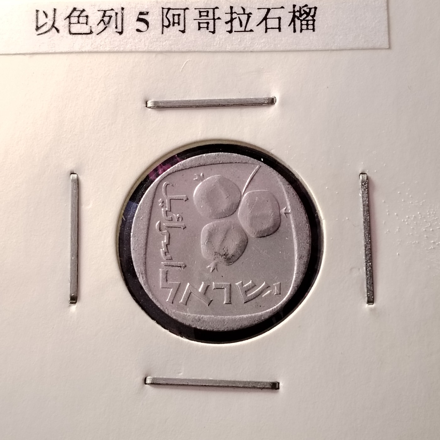 230917 稀少以色列5