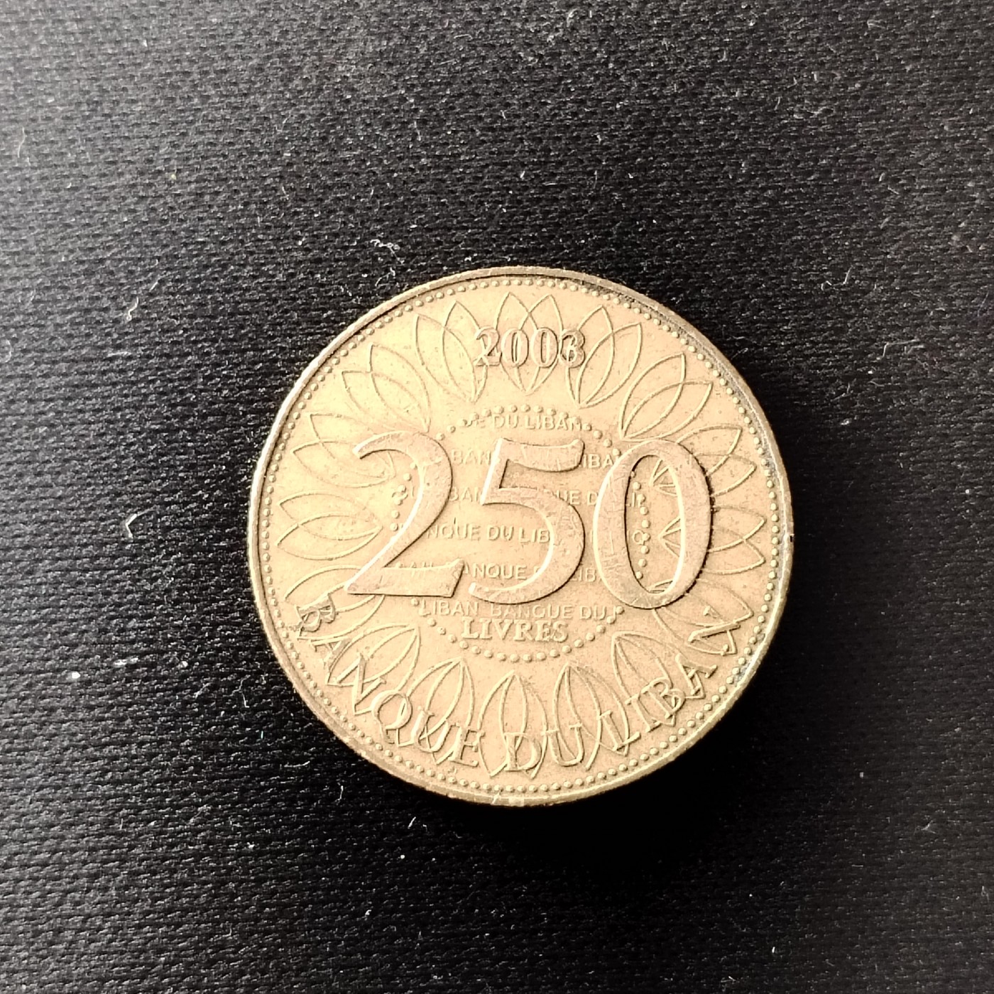 230917 黎巴嫩250