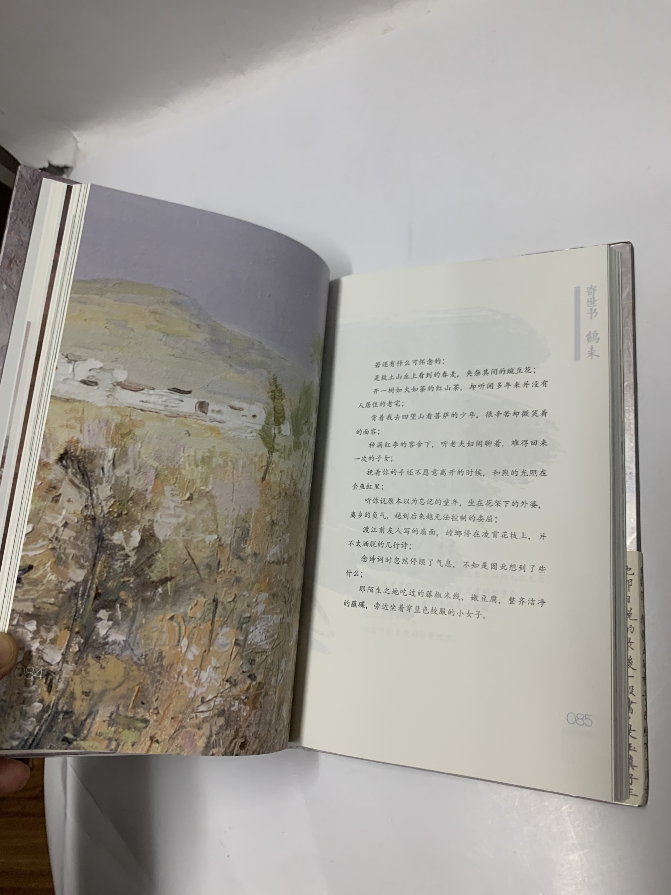 零元拍：云姑 亲笔签名著书《寄世书 鹤来》