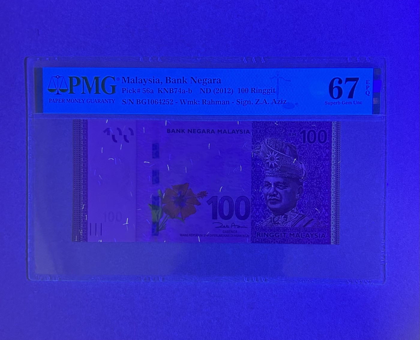 【丑猫0924】今晚7点，全自动快拍！ 马来西亚100