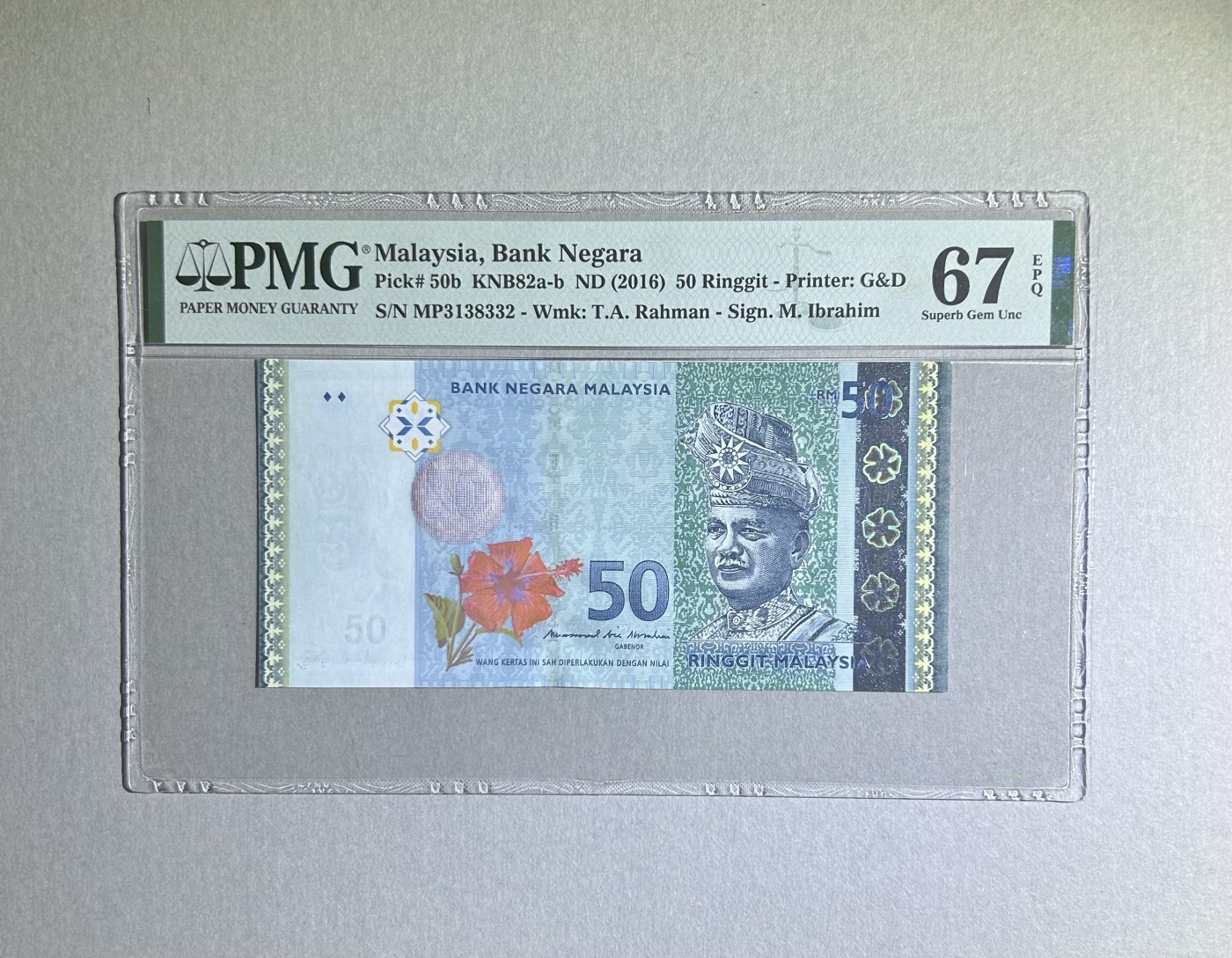 【丑猫0924】今晚7点，全自动快拍！ 马来西亚50