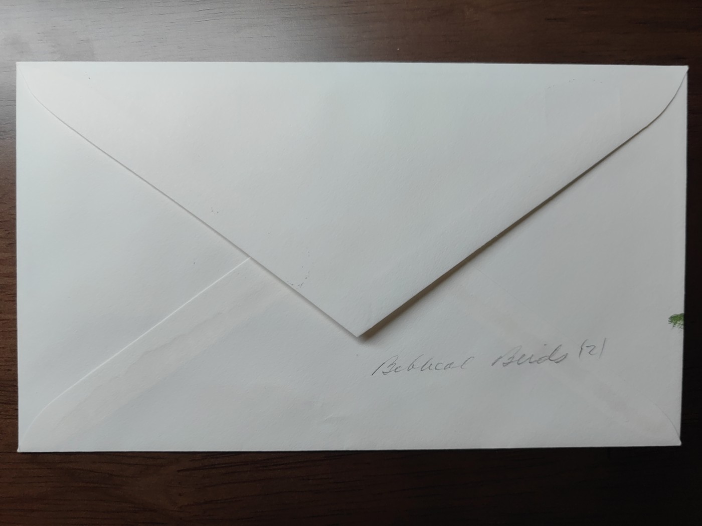 多国精美纪念封＆首日封第⑩场（0元起拍来捡漏） 以色列邮票展览 1985 圣经上的鸟 