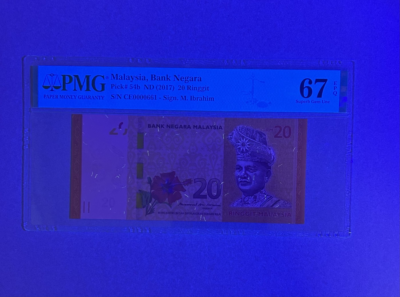 【丑猫0924】今晚7点，全自动快拍！ 马来西亚20(小号倒置号)