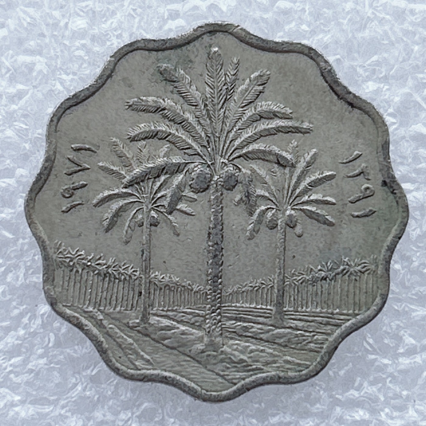 全场一元起拍 世界钱币散币场 第25期 伊拉克10费尔 椰枣树