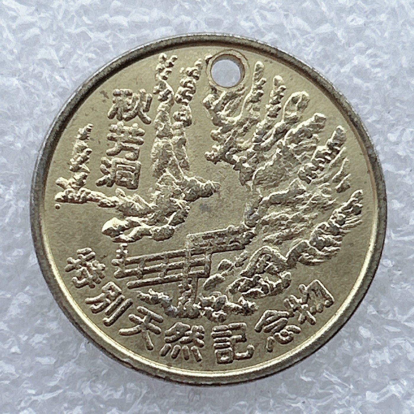 全场一元起拍 世界钱币散币场 第25期 日本三大名洞秋房洞纪念币