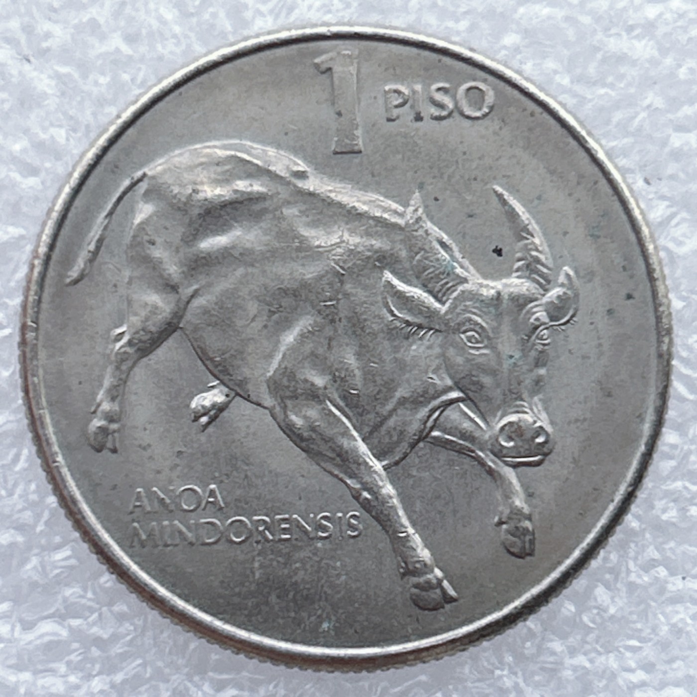 全场一元起拍 世界钱币散币场 第25期 1985年菲律宾大牛一皮索大币