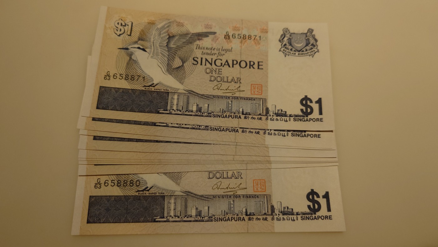 【世界钱币】精选微拍第75期暨2023年第二十二期 部分最新卖剩新品裸钞(有5000卢布AA等) 十月中下旬会有大量新货(优先本群里卖，卖剩的才挂拍卖欢迎关注) 新加坡鸟版1元 全新刀拆雪白绝品标十无4 尾号871～880