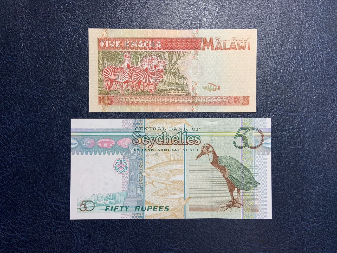 收藏联盟Quantum Auction 第291期拍卖  马拉维1995年5克瓦查和塞舌尔2005年50卢比 品相全新UNC 