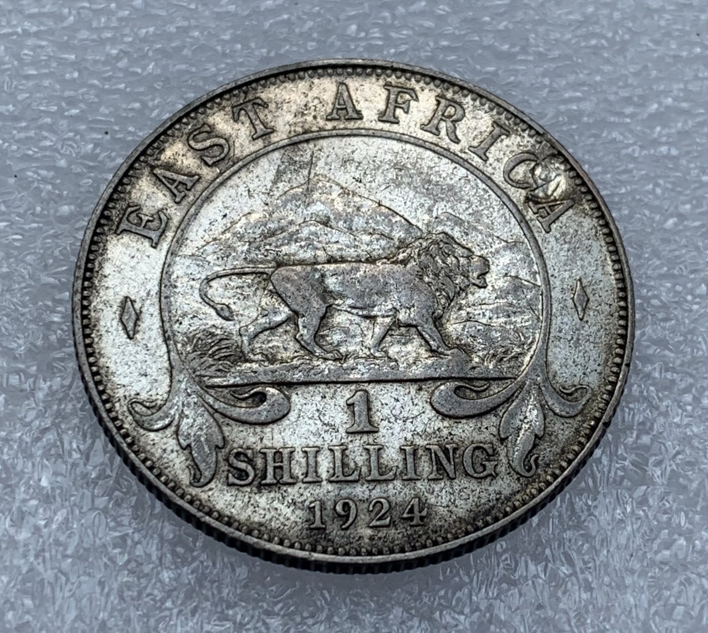 瓶子🏺第110期拍卖会 东非1924年1先令银币 狮子