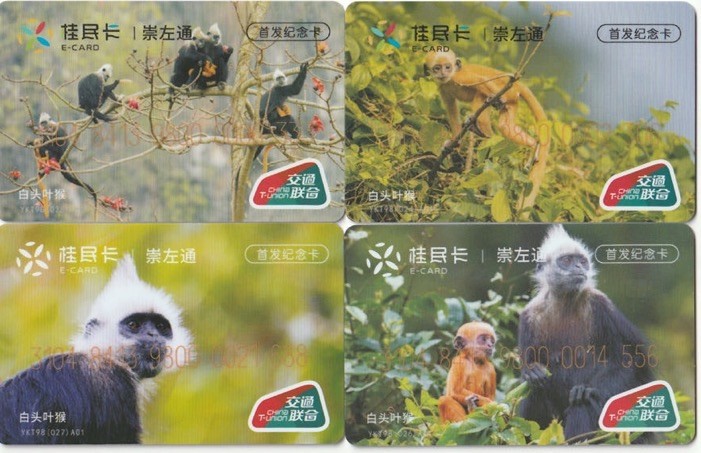 2023年上海卡博会地铁交通卡专场 桂民卡崇左开通首发纪念卡一套4张 靓号，尾号333 306 556 688