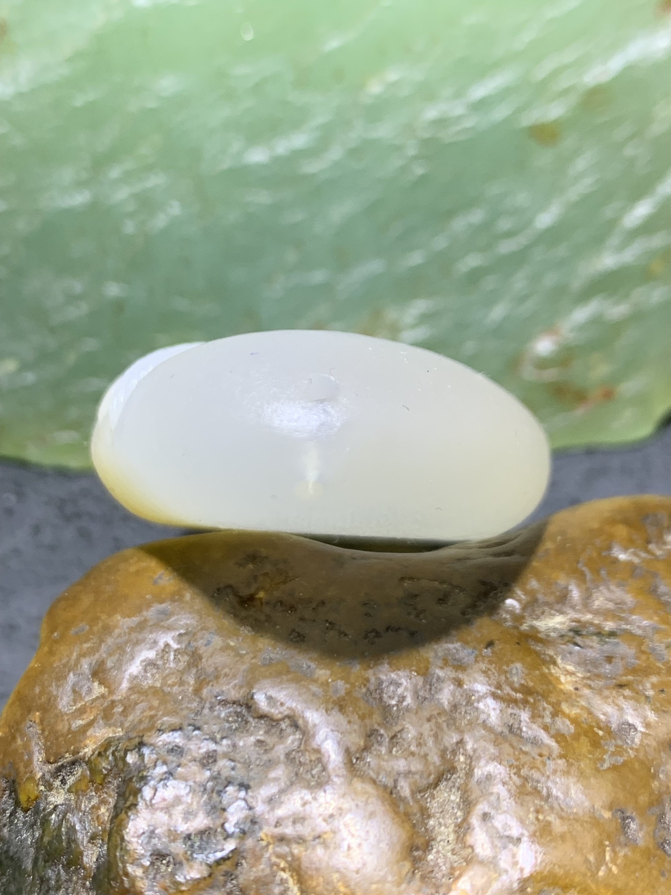 精美高玉化马达加斯加海洋玉髓手工俏色巧雕富贵有鱼吊坠一个！