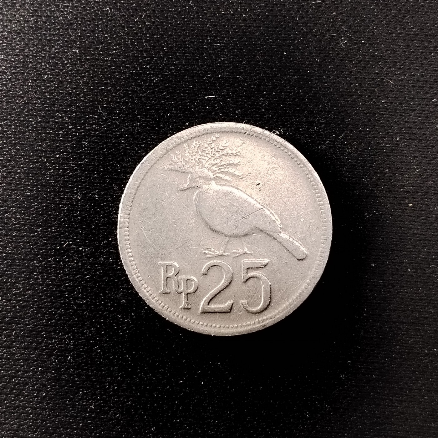 230923硬币专场 印度尼西亚25盾
