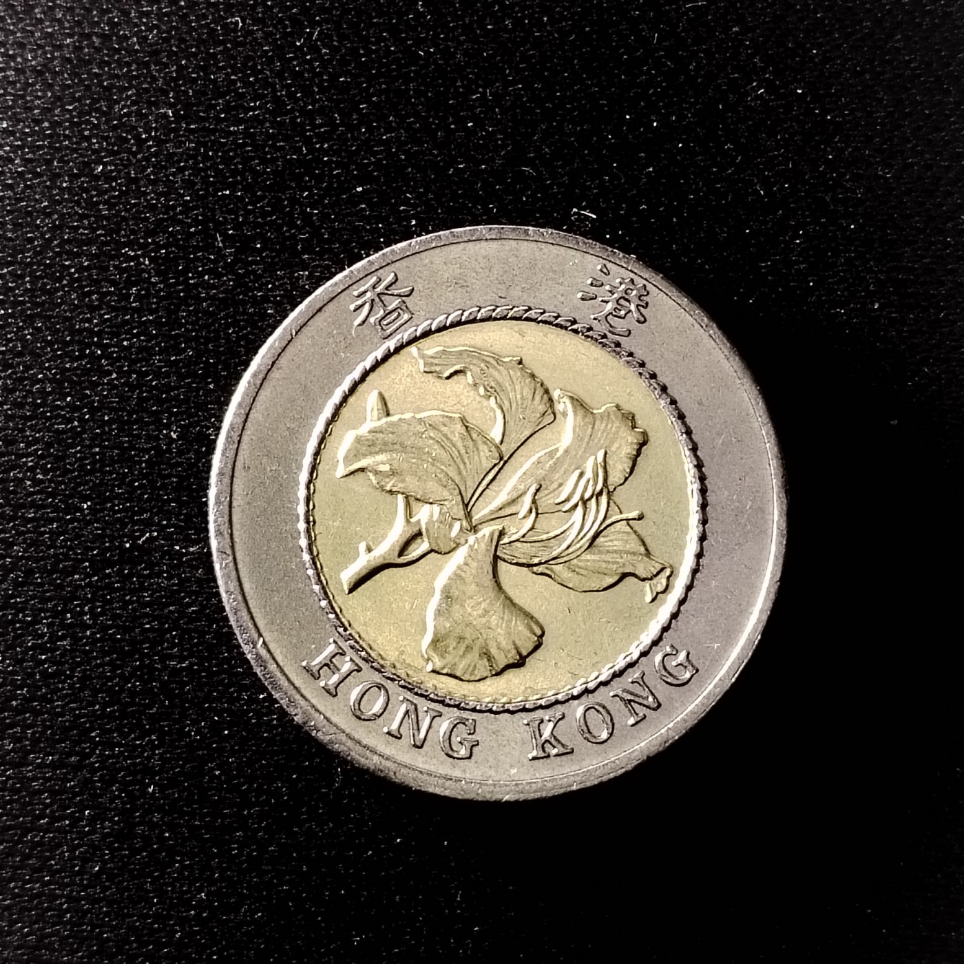 230923硬币专场 香港10美品