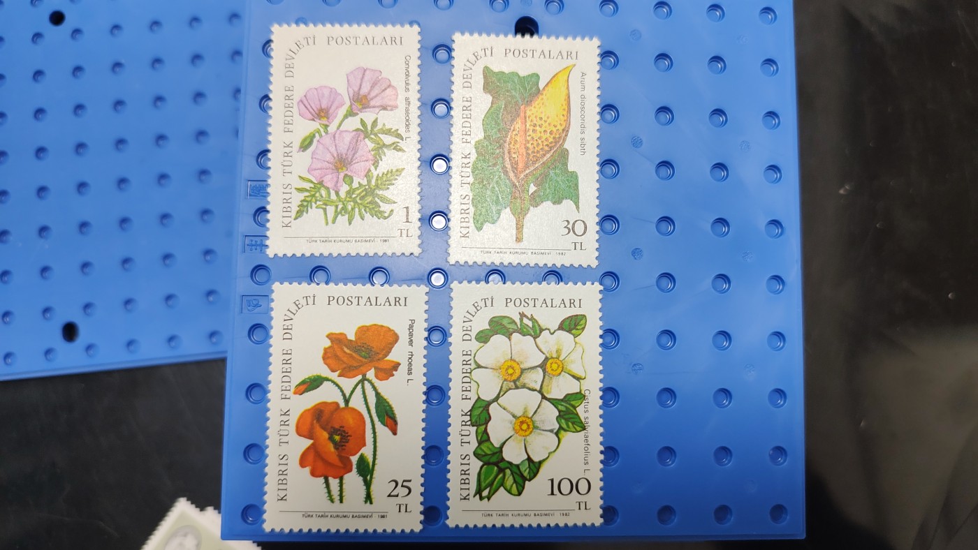 一月邮币社第三期拍卖国际邮票专场 土耳其花朵套票