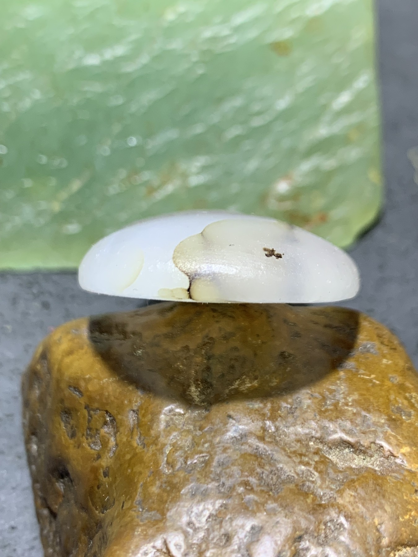 精美高玉化马达加斯加海洋玉髓手工俏色巧雕鲤鱼吊坠一个