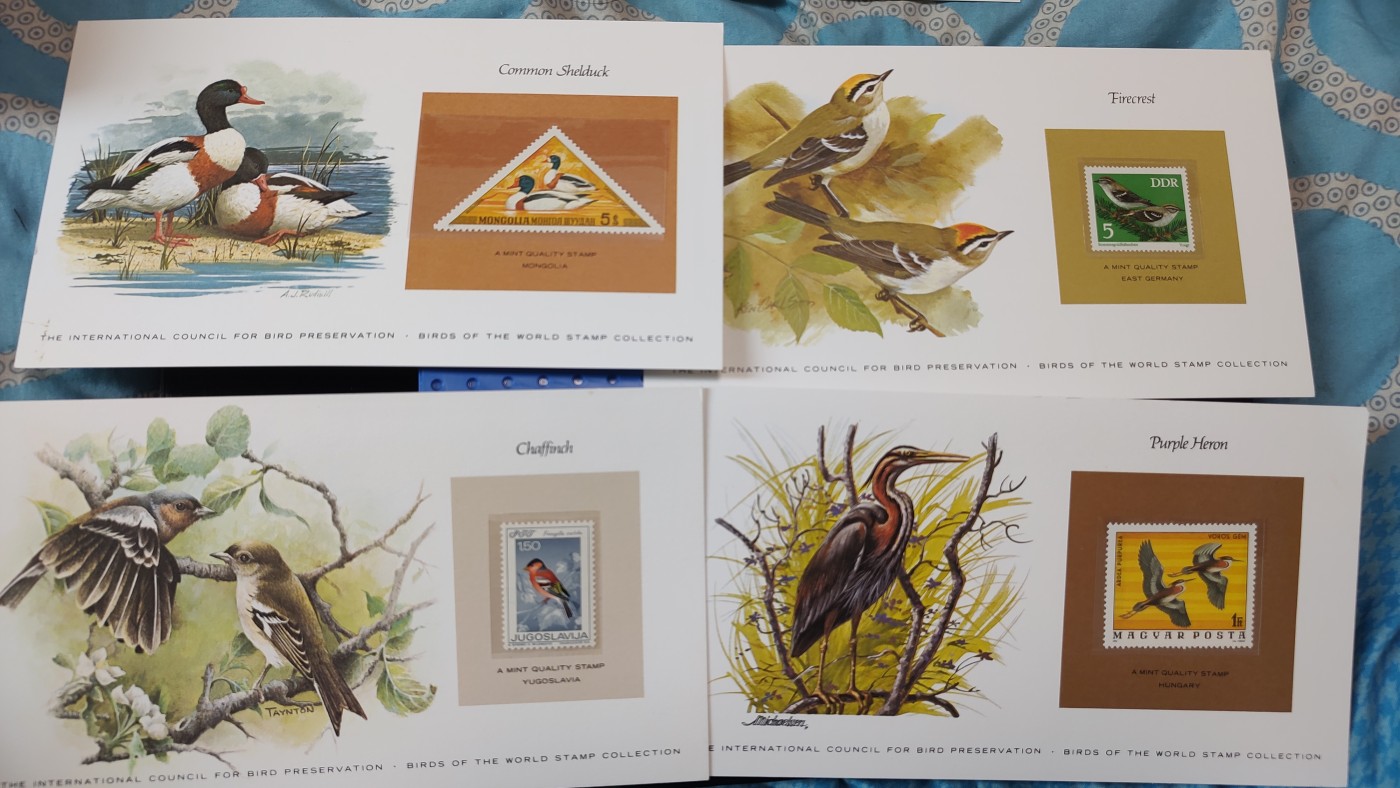 一月邮币社第三期拍卖国际邮票专场 精美动物介绍卡邮票11张