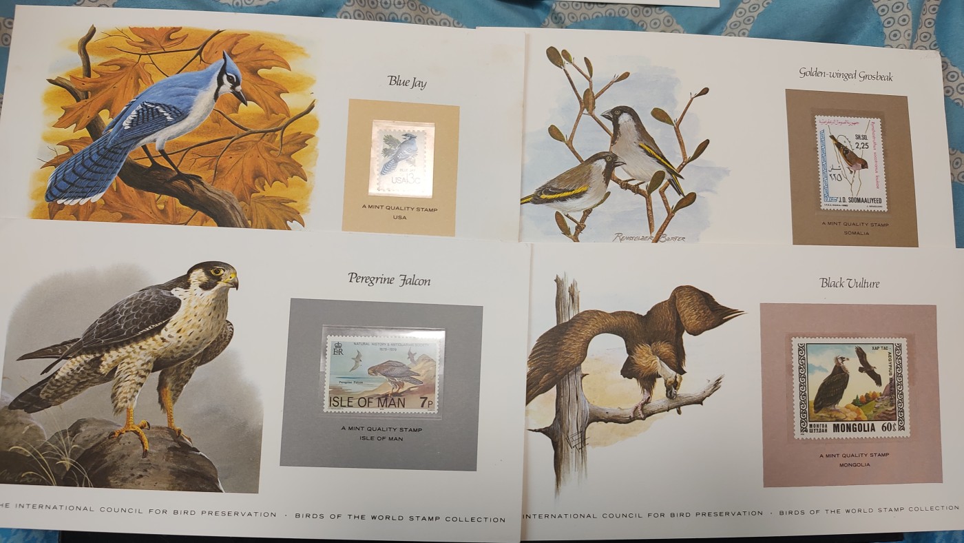 一月邮币社第三期拍卖国际邮票专场 精美动物介绍卡邮票11张