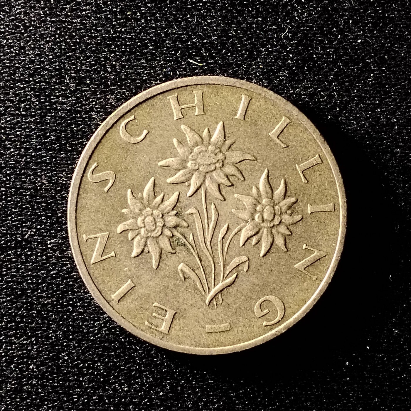 230923硬币专场 奥地利1先令22.5mm