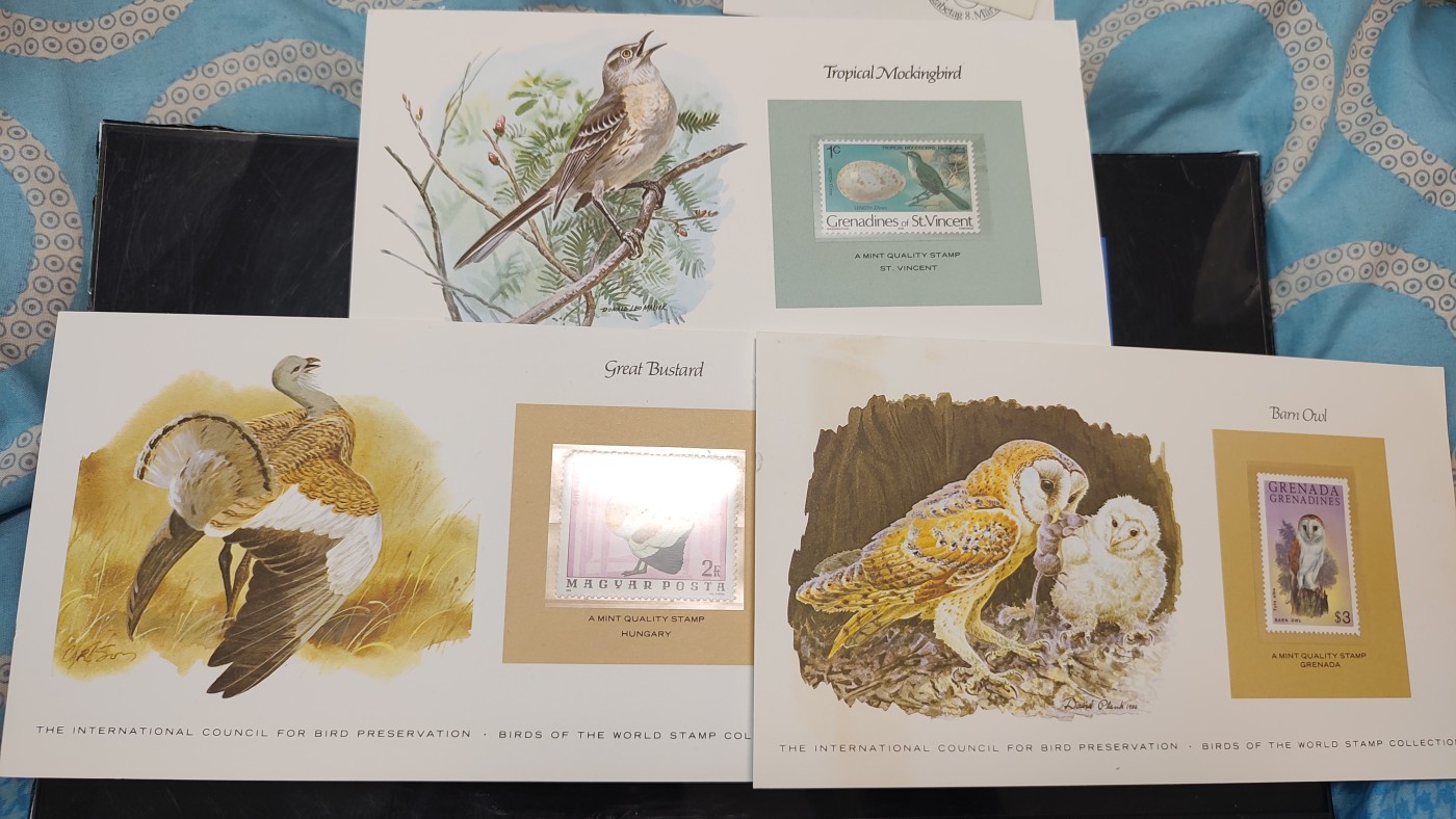 一月邮币社第三期拍卖国际邮票专场 精美动物介绍卡邮票11张