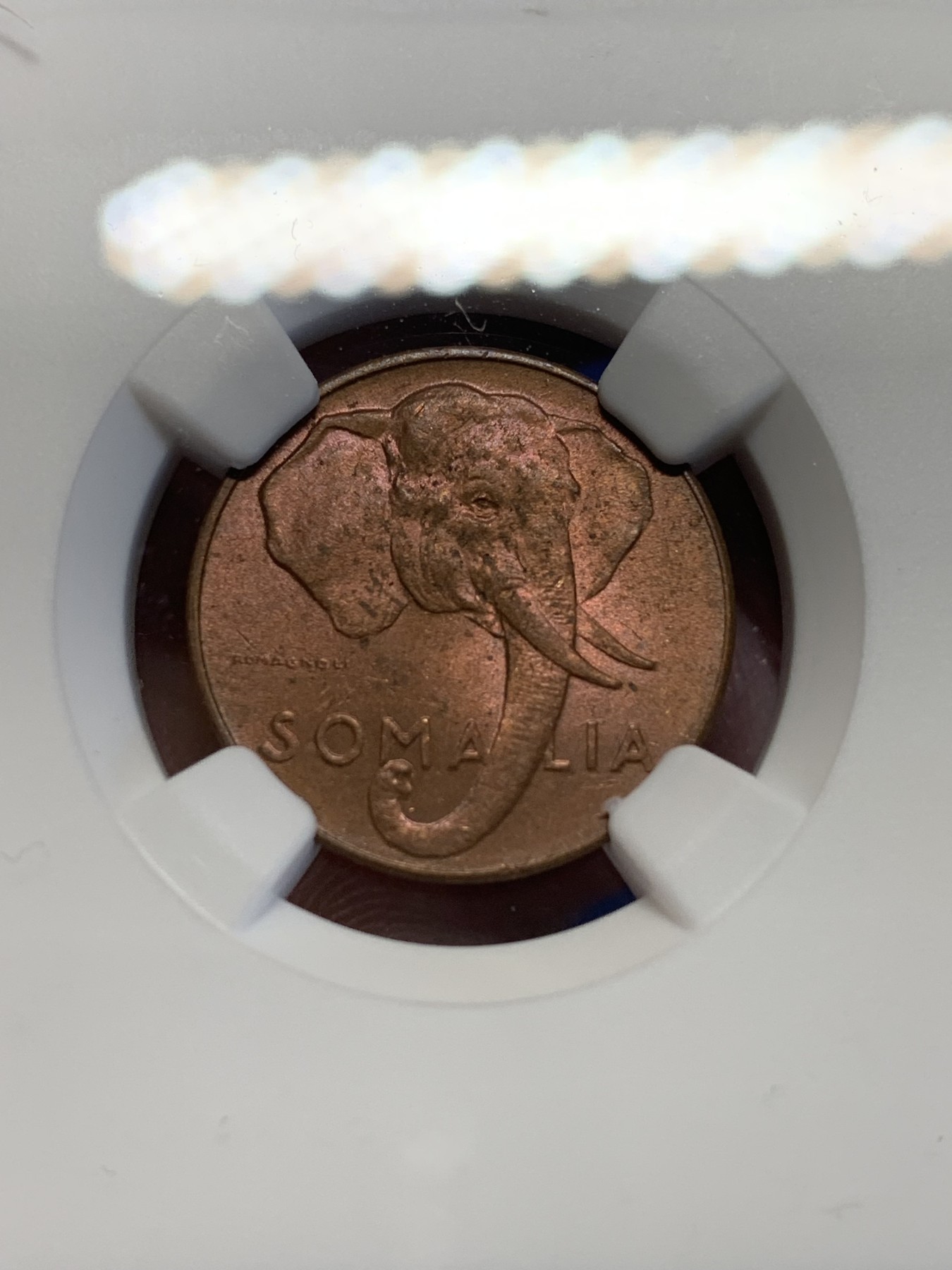 《竞宝斋》第201场-周日，周一 2场 (全场包邮) NGC MS63RB 意属索马里 1950年 1分铜币 大象图案 原光好品