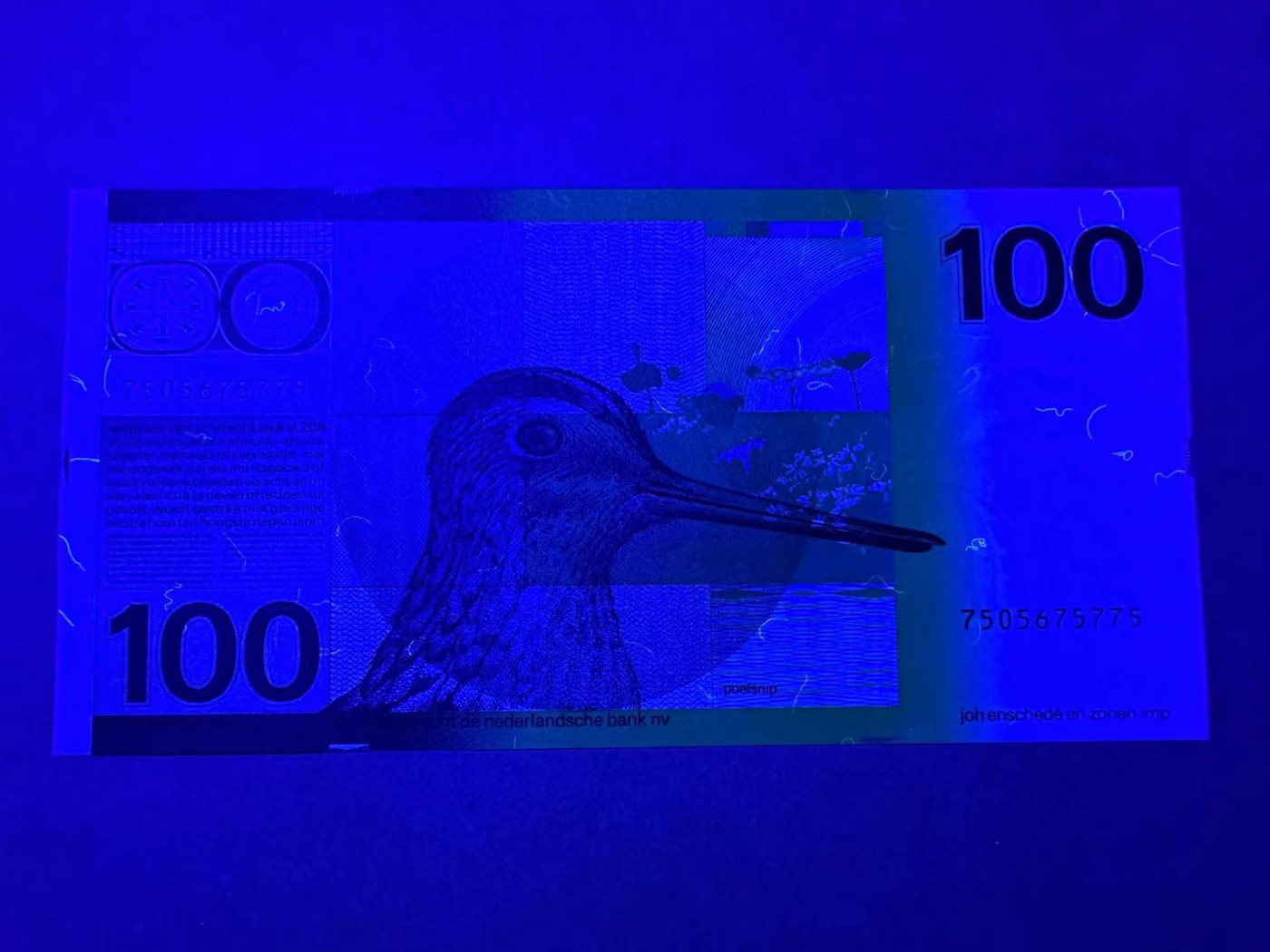 【Blue Auction】✨世界纸币精拍第375期【精】 荷兰 1977年100盾 水鸟 全新UNC