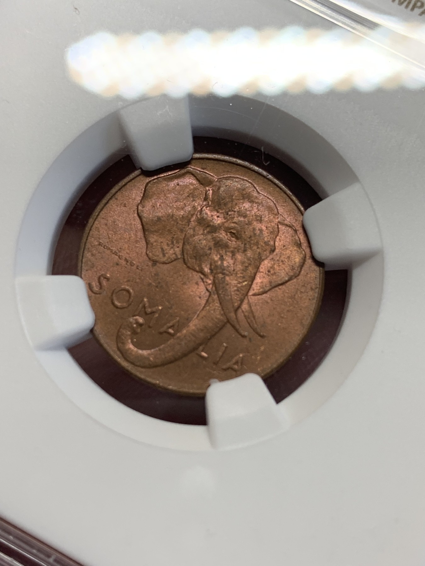 《竞宝斋》第201场-周日，周一 2场 (全场包邮) NGC MS63RB 意属索马里 1950年 1分铜币 大象图案 原光好品