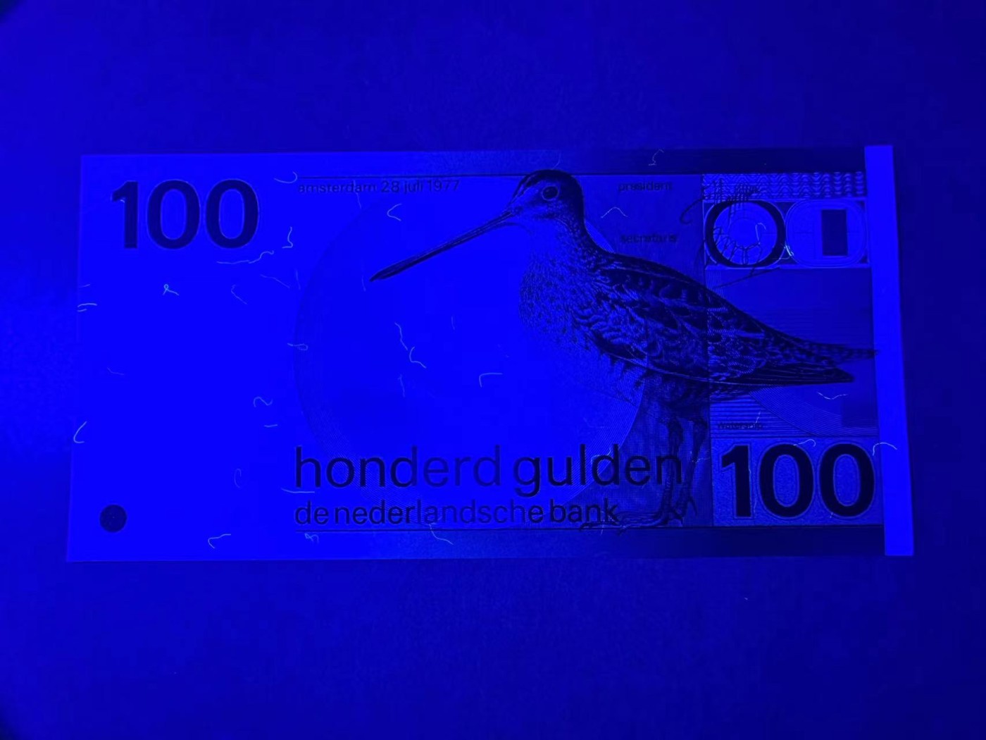 【Blue Auction】✨世界纸币精拍第375期【精】 荷兰 1977年100盾 水鸟 全新UNC