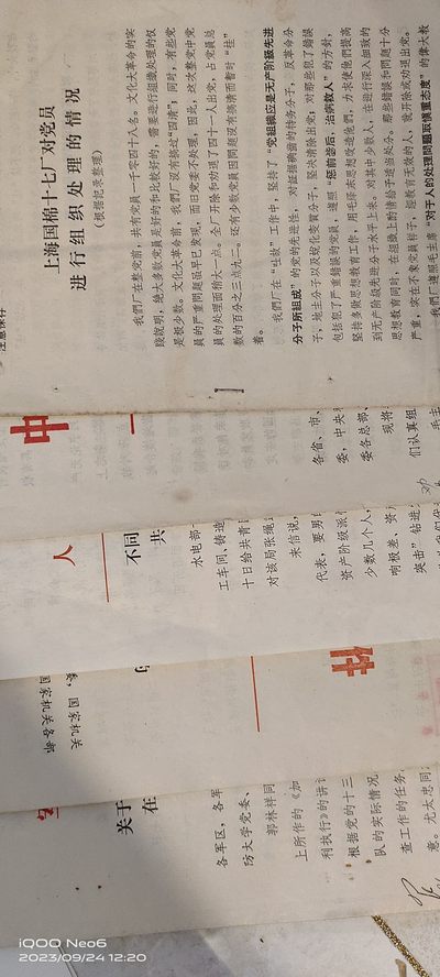 大庆红藏第六场 - 文件大套小王同款，上棉十七厂内部文件，红透，纪委，西德文件，江姚讲话，PLA委