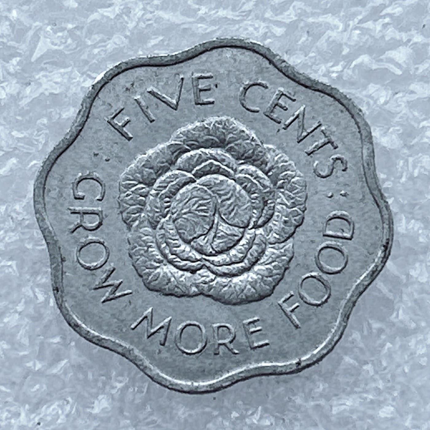 全场一元起拍 世界钱币散币场 第26期 塞舌尔1972年5分 FAO纪念币