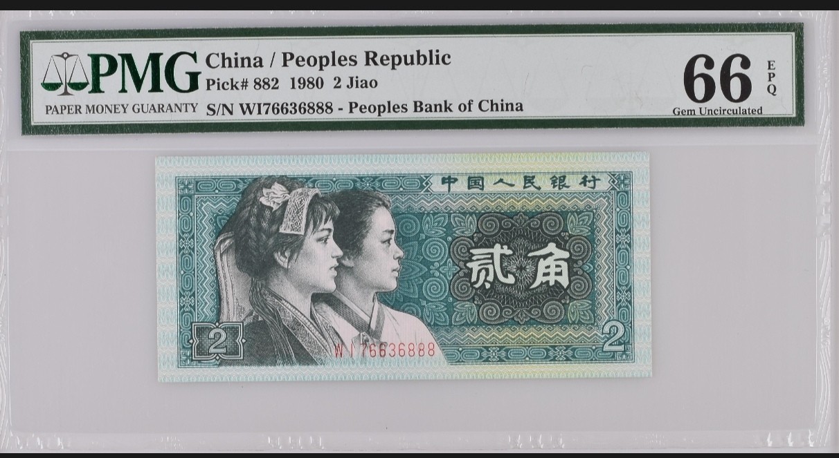 晨芳霖冠号收藏第14期 8002幼线体豹子号