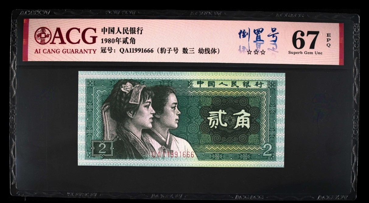 晨芳霖冠号收藏第14期 8002幼线体豹子号