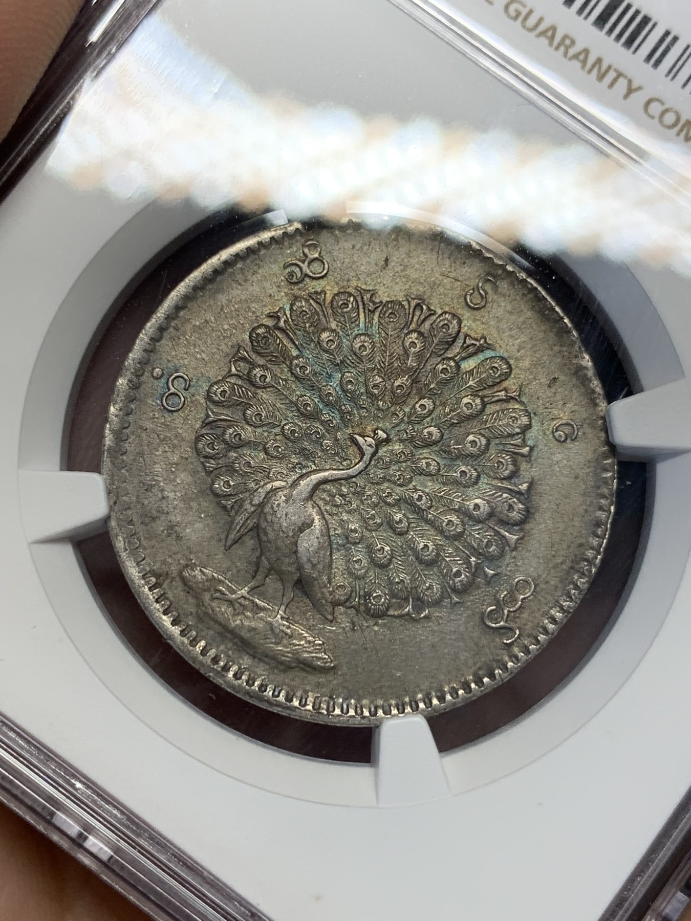 《竞宝斋》第201场-周日，周一 2场 (全场包邮) NGC AU58 缅甸蒲甘王朝1852年五彩点睛孔雀 一流状态