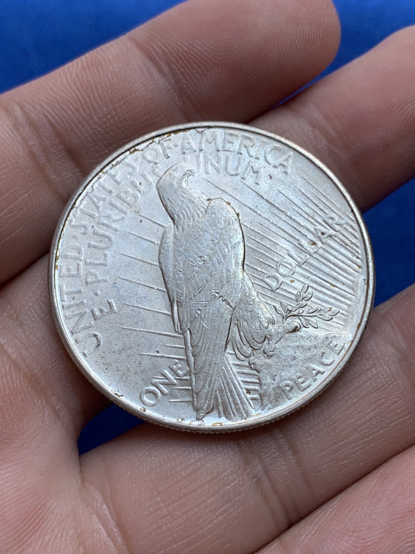 《竞宝斋》第201场-周日，周一 2场 (全场包邮) 美国1922年和平大银币 unc品相