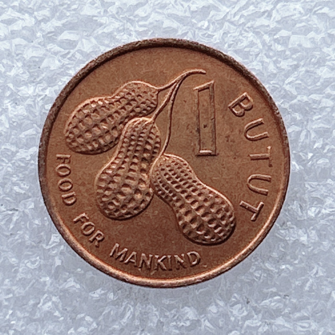 全场一元起拍 世界钱币散币场 第26期 冈比亚1985年兽医总统贾瓦拉1布图花生小铜币