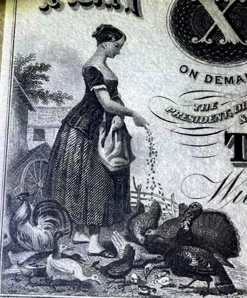 【Blue Auction】✨世界纸币精拍第375期【精】 【少见品种 田园风精美 带签名】美国 罗德岛 1858年10美金 设计非常耐看唯美 PMG64 全新品相 