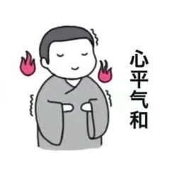 初雪14期 - 浮生若梦