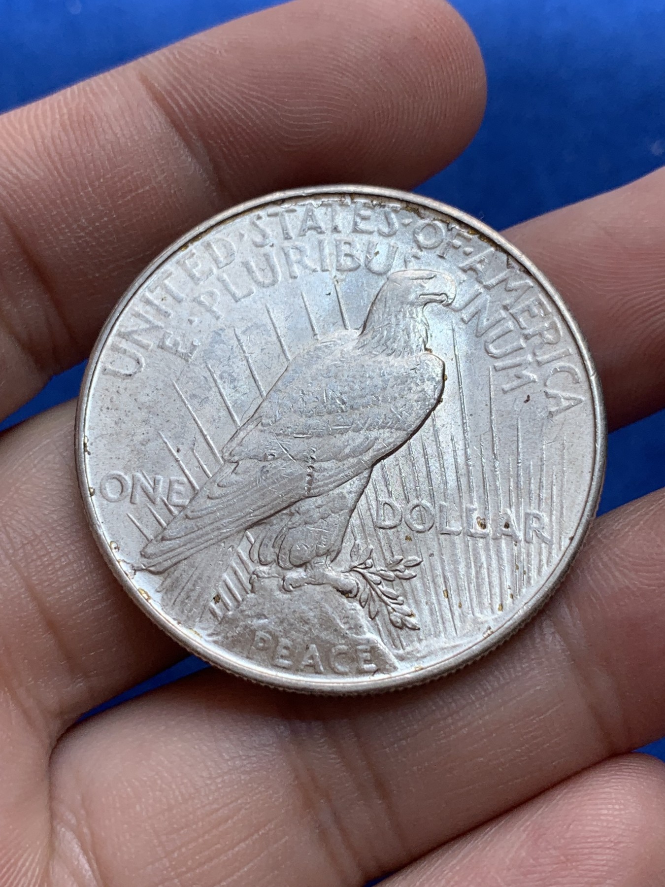 《竞宝斋》第201场-周日，周一 2场 (全场包邮) 美国1922年和平大银币 unc品相