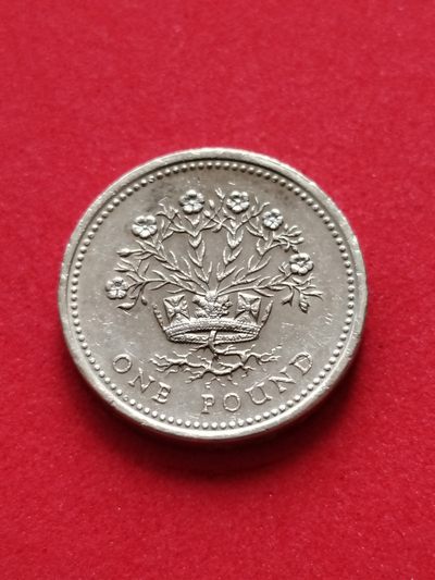  布加迪🐬～世界钱币🍀第30期 / 西欧币🦅专场 - 英国🇬🇧 1991年 1镑 北爱尔兰亚麻 22.4mm