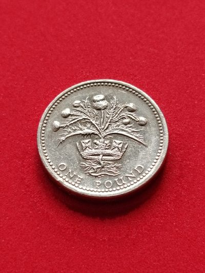 布加迪🐬～世界钱币🌾第44期 /  各国币专场  - 英国🇬🇧 1989年 1镑 苏格兰蓟皇冠 22.4mm