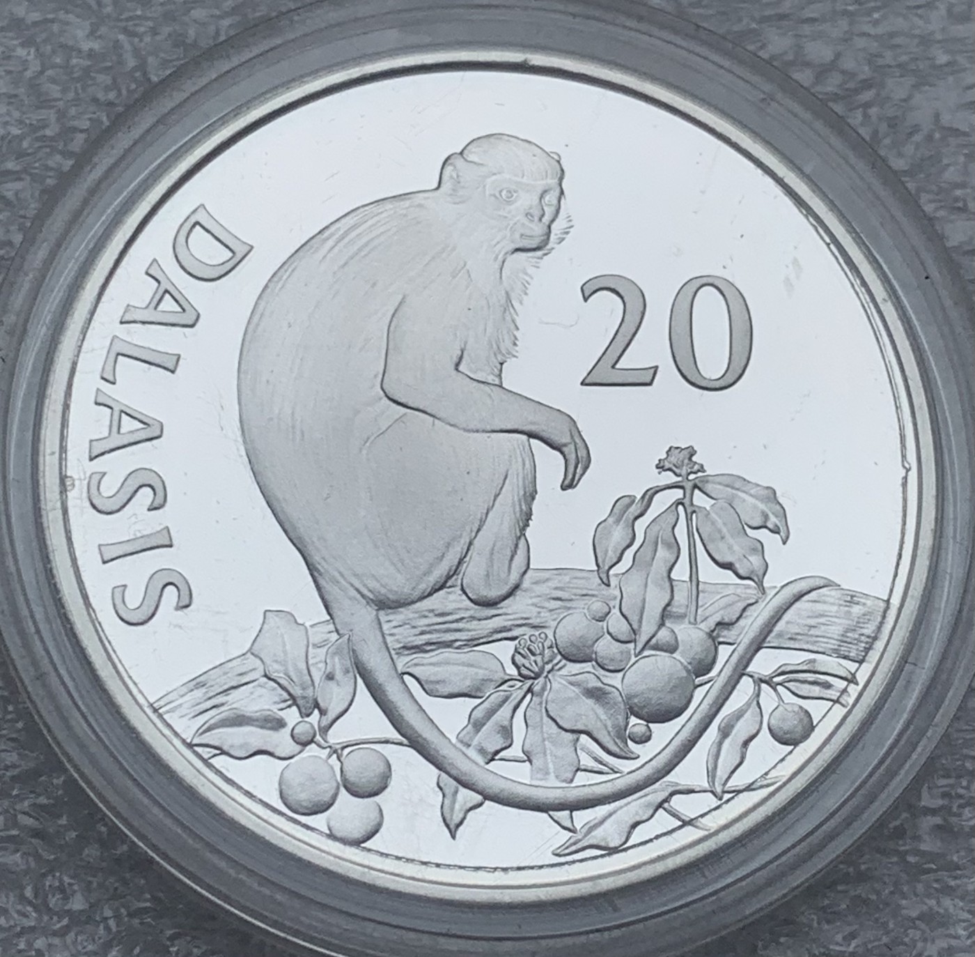 瓶子🏺第111期拍卖会  冈比亚1987年非洲吼猴20达拉西精制镜面银币