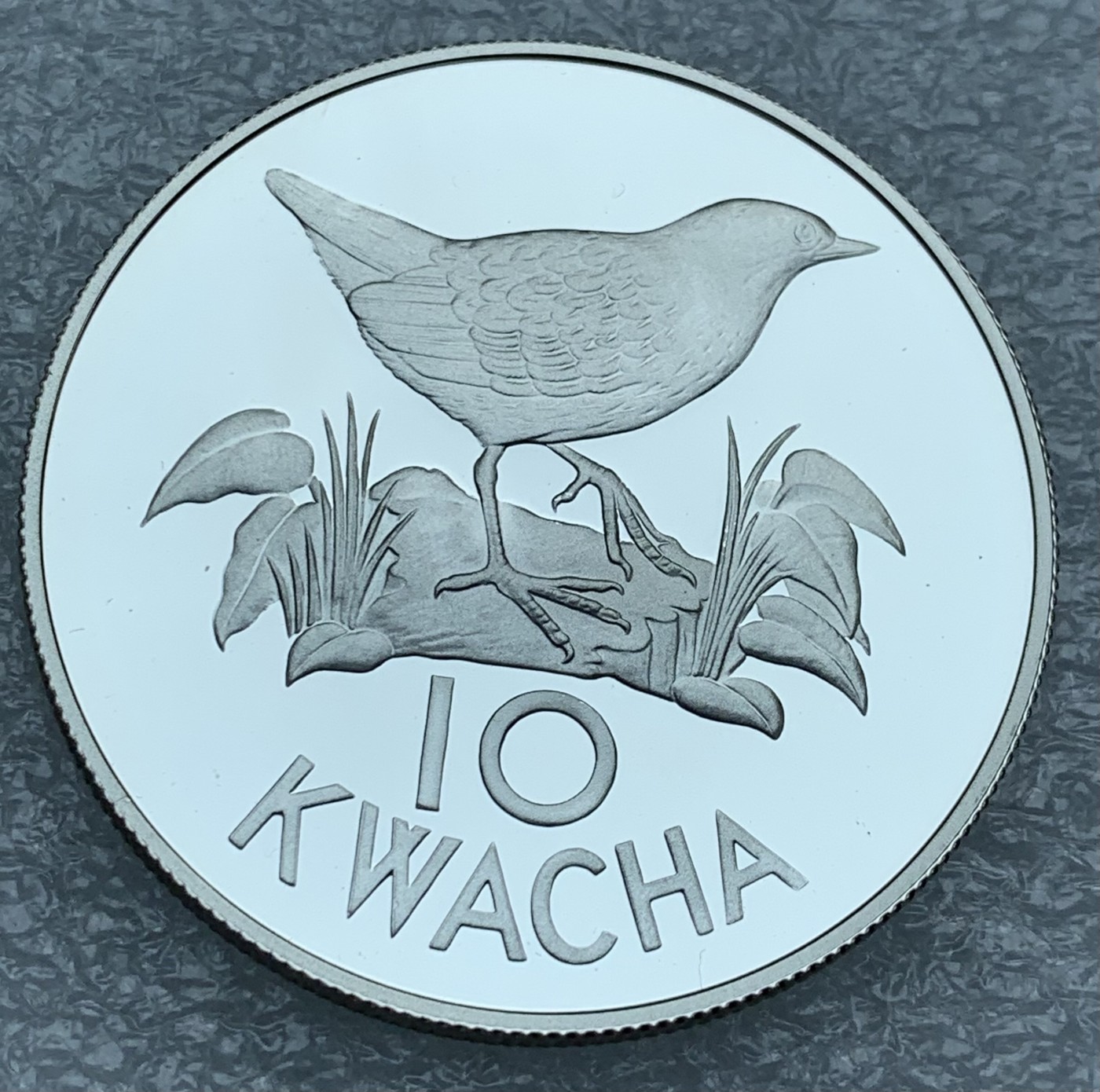 瓶子🏺第111期拍卖会 动物-秧鸡 赞比亚1986年10克瓦查 精制纪念银币