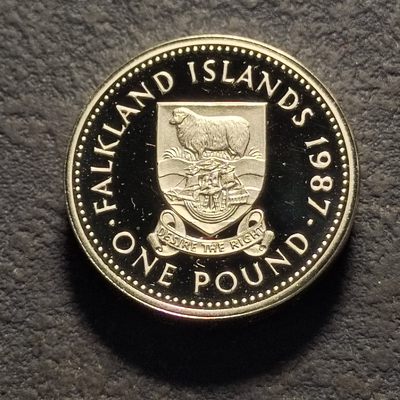 0起1加-纯粹捡漏拍-238双节炸场包邮连拍第二场北欧海盗的壮丽冒险 - 【稀少】福克兰群岛1987年1镑加厚精制纪念银币-量2500