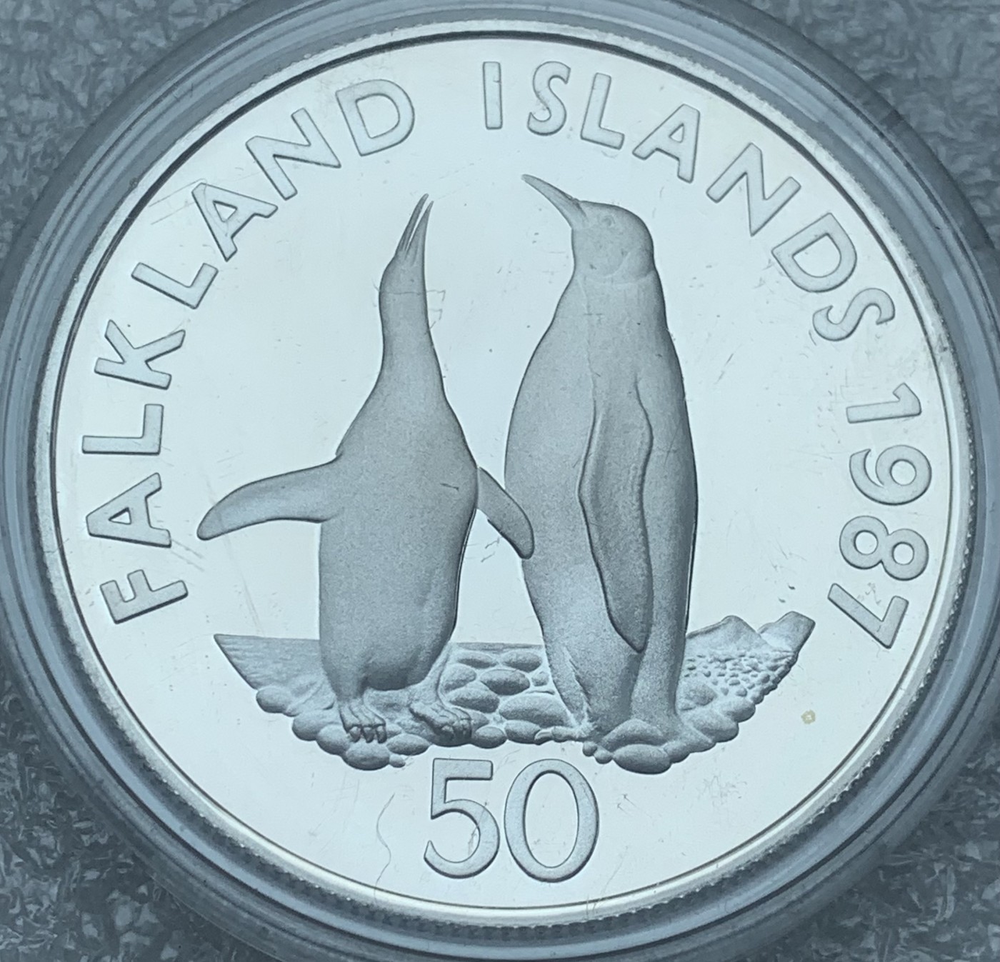 瓶子🏺第111期拍卖会  福克兰群岛1987年50便士精制纪念银币保护动物系列帝企鹅