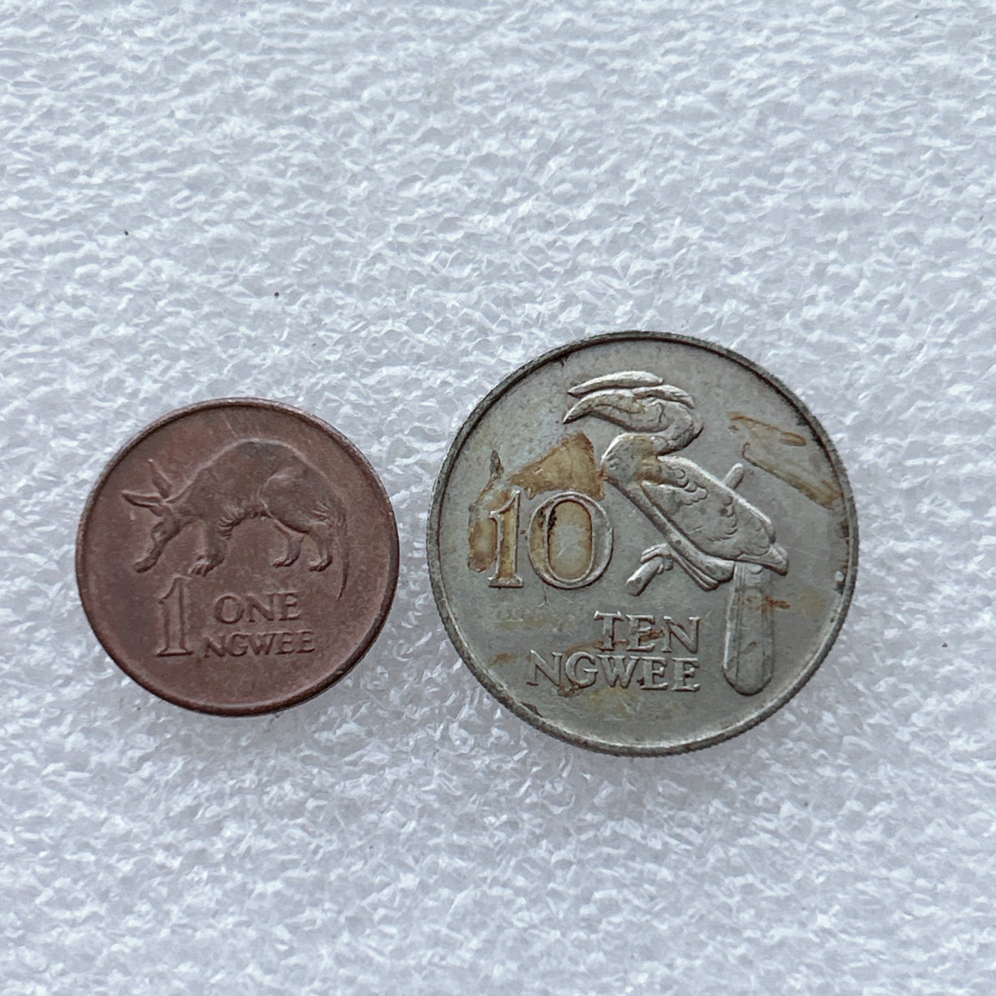 全场一元起拍 世界钱币散币场 第28期 赞比亚