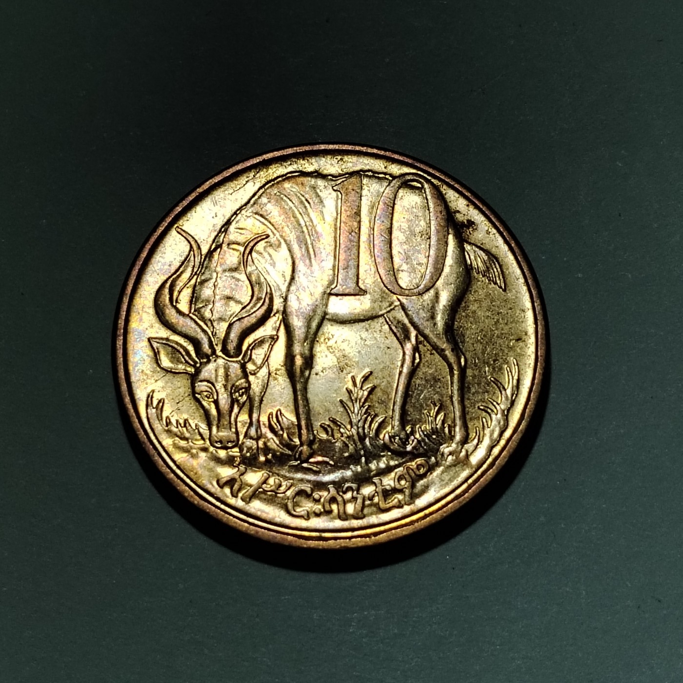 230927 埃塞俄比亚10分硬币狮子头23mm