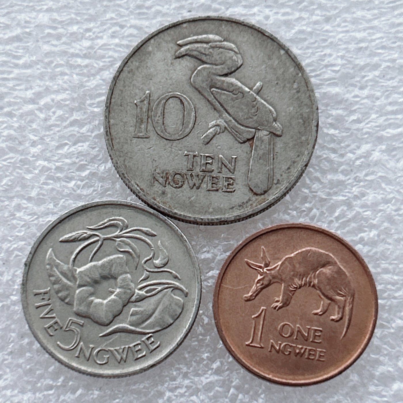 全场一元起拍 世界钱币散币场 第27期 赞比亚