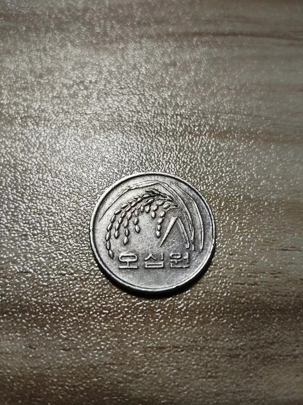 初雪15期 韩国
