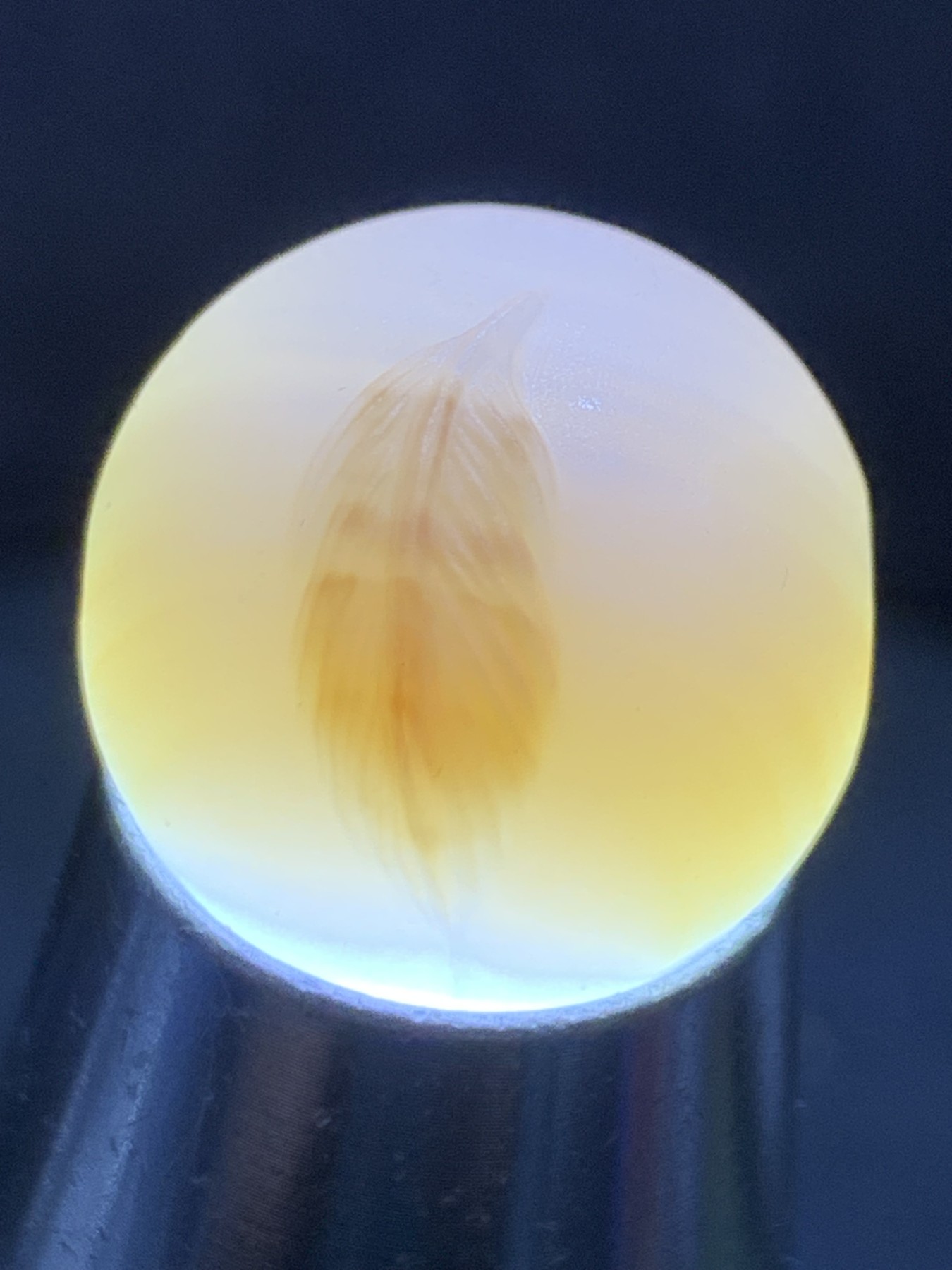 精美高玉化亚光海洋玉髓手工俏色巧雕羽毛圆珠一个！